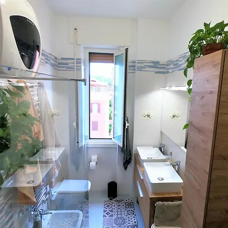 Nearpineta