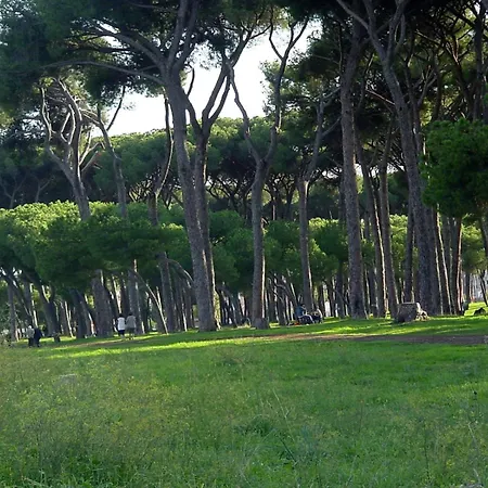 דירה Nearpineta